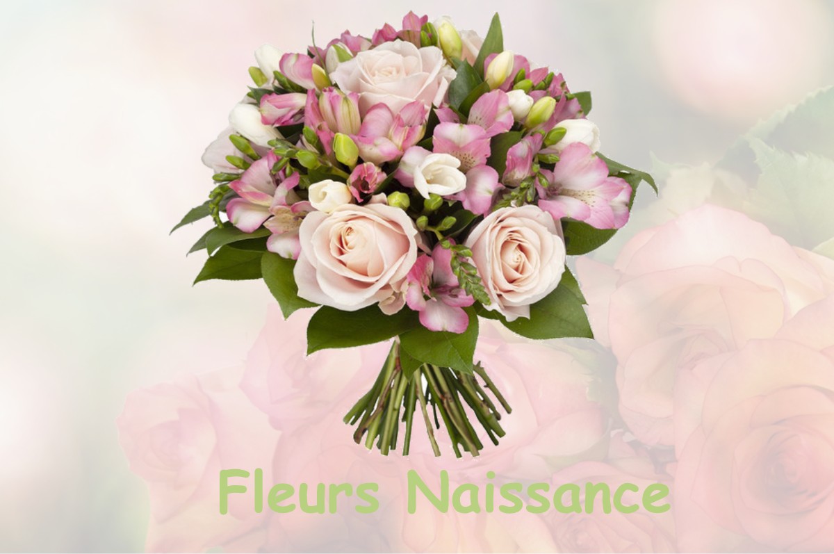 fleurs naissance LA-VIEILLE-LOYE