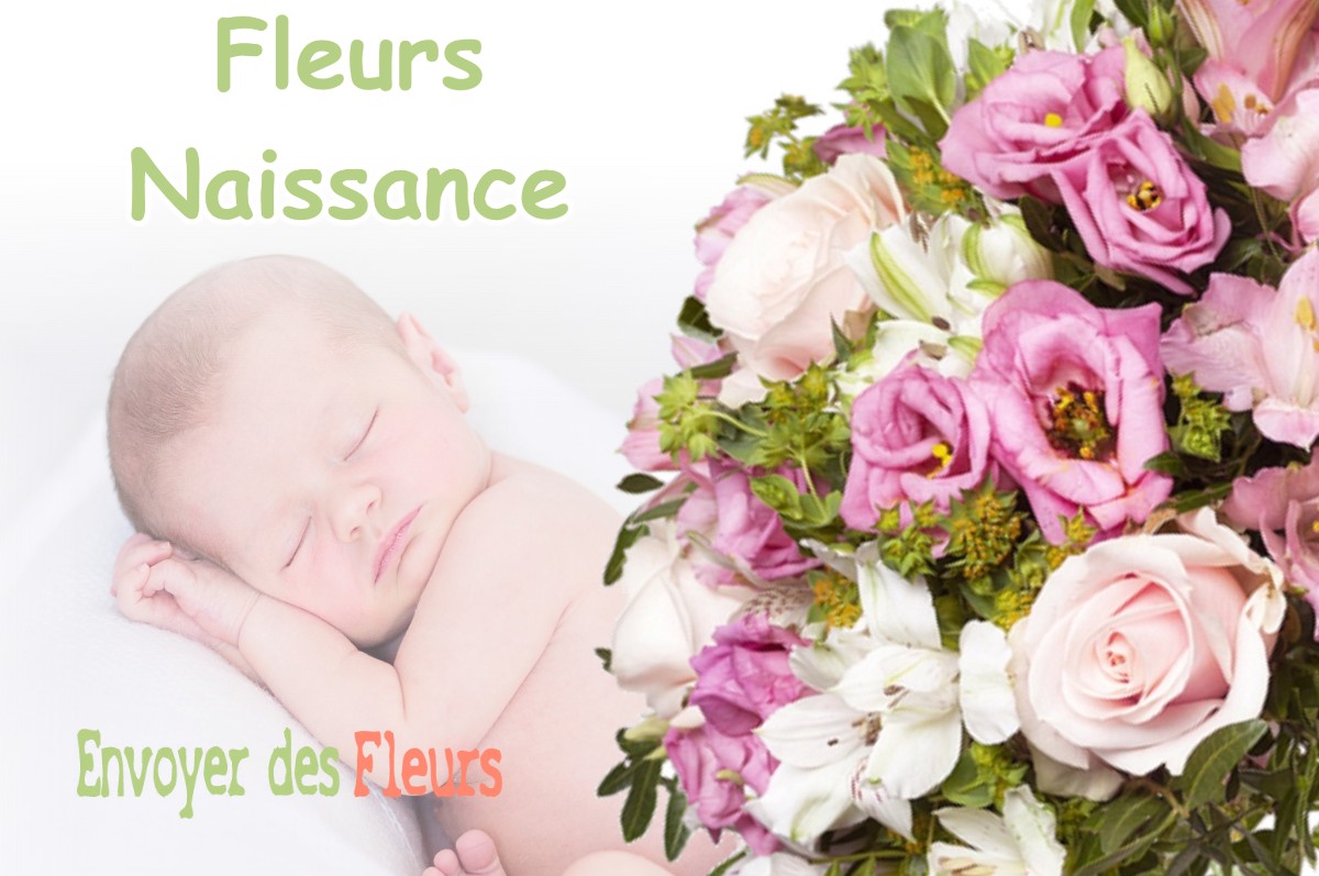 lIVRAISON FLEURS NAISSANCE à LA-VIEILLE-LOYE